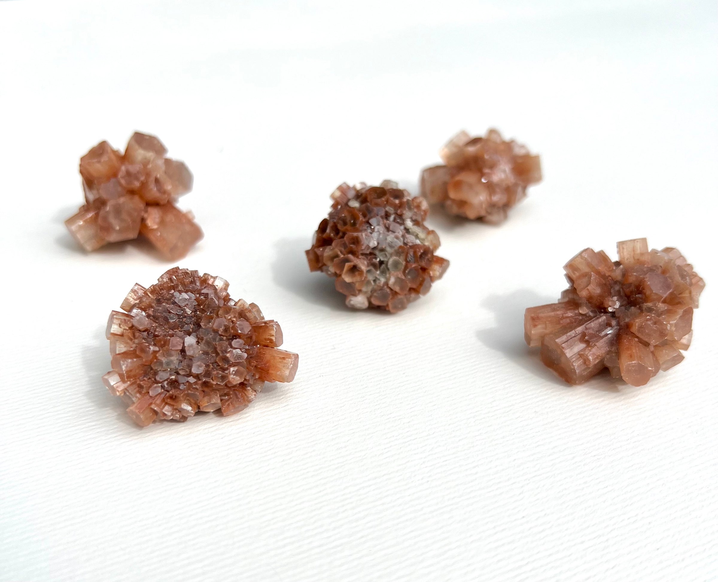Aragonite Stars