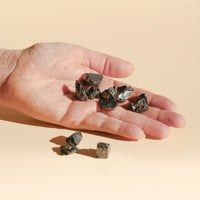 Shungite Elite 10 Pack Pouch