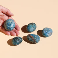 Blue Apatite Palm Stones in medium and small sizes