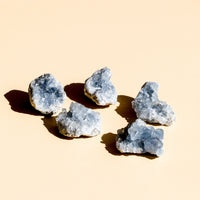 Five Celestite Clusters