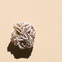 Desert Rose Selenite