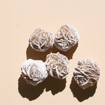Five Desert Rose Selenites