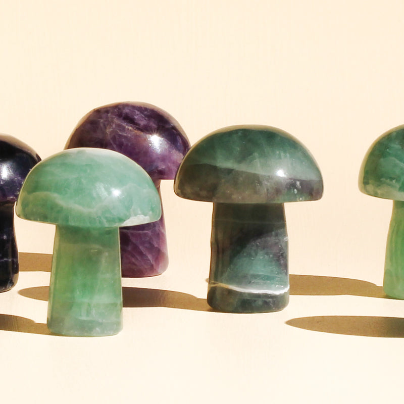 Flourite Mushrooms in green colours