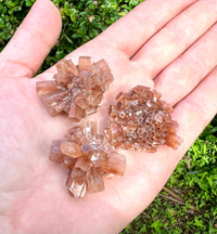 Aragonite Stars