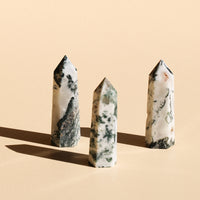 Tree Agate Points