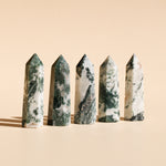 Tree Agate Points
